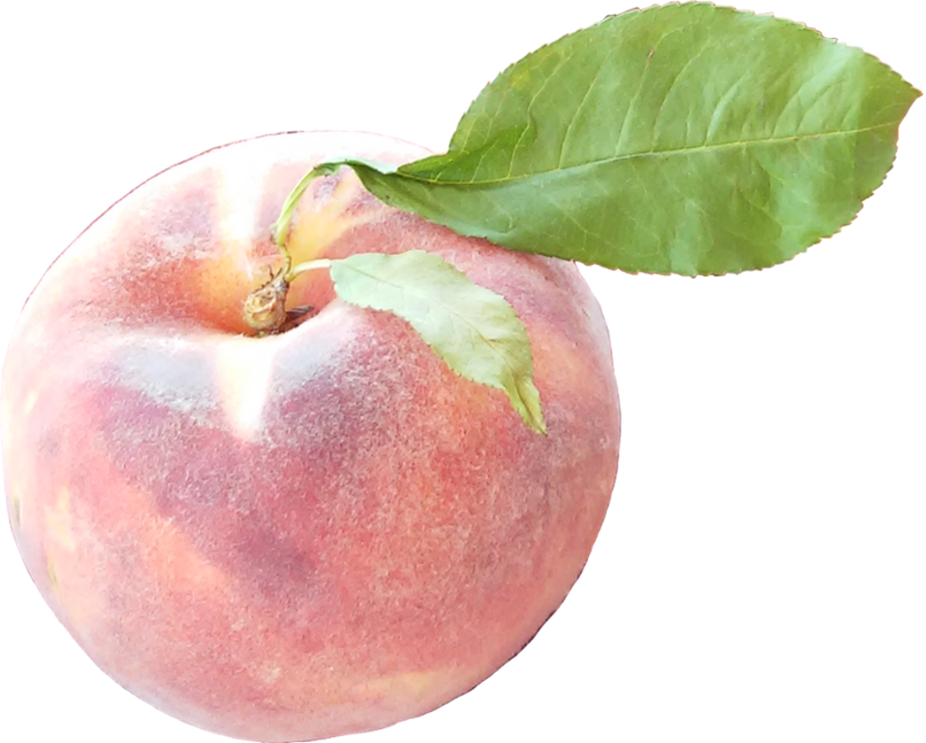 Colorado Palisade peach