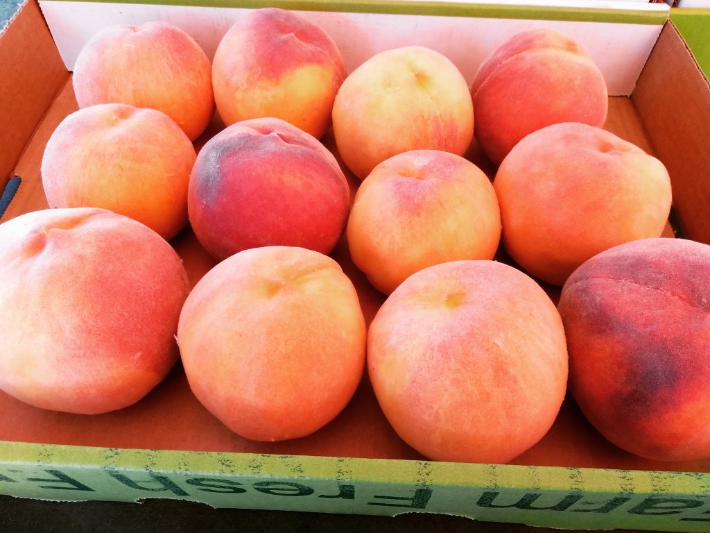 What Makes Colorado Palisade Peaches So&nbsp;Unique?