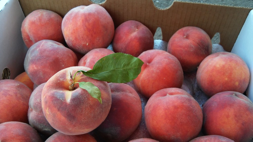 The Colorado Peach&nbsp;Blog